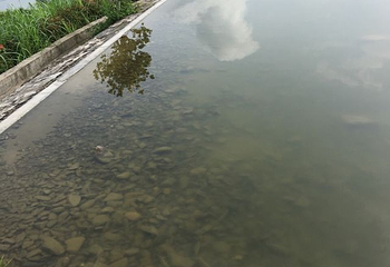 守拙园第 42 张图片