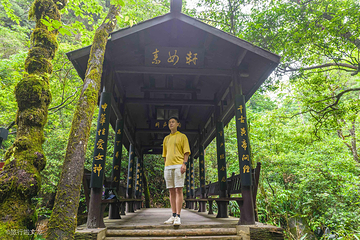 神龙谷第 39 张图片