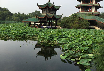 宝光桂湖文化旅游区第 16 张图片