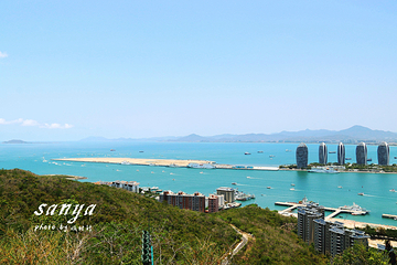 凤凰岛第 46 张图片