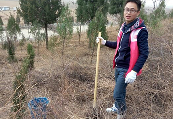 怀柔植树基地第 9 张图片