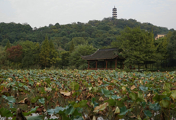 西施故里-范蠡祠第 9 张图片