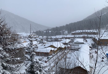 雪乡国家森林公园第 40 张图片