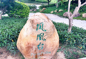 火炉山森林公园第 12 张图片