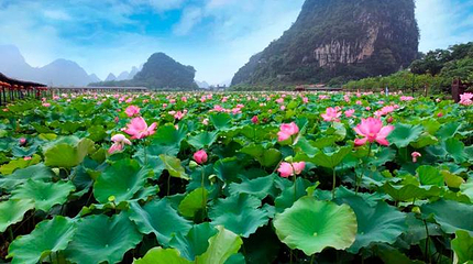 峰林晓镇第 121 张图片