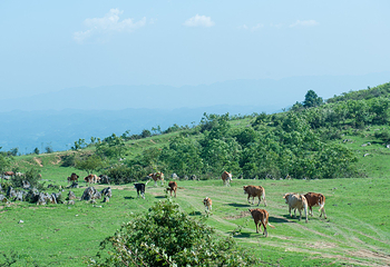 齐岳山第 5 张图片