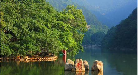 九龙谷景区第 32 张图片