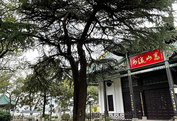 月湖风景区-古琴台第 32 张图片