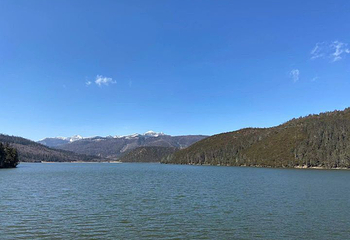 纳帕海(依拉草原)第 52 张图片