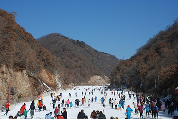 甘山国家森林公园第 19 张图片