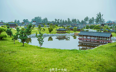 大明宫国家遗址公园第 210 张图片