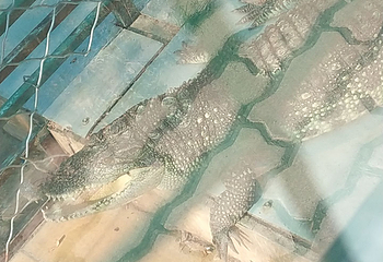 鸡西市动植物园第 2 张图片