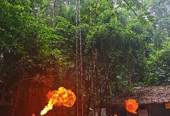 西双版纳民族风情园第 32 张图片