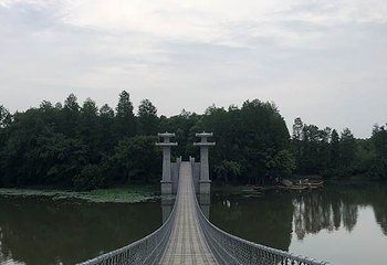 落雁岛第 10 张图片