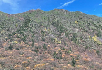 红原—若尔盖大草原第 34 张图片