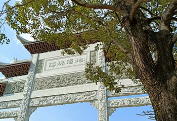 海珠国家湿地公园第 29 张图片