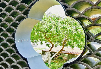 下沉花园第 3 张图片