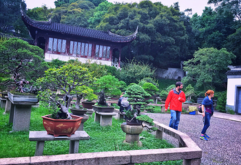 万景山庄第 12 张图片