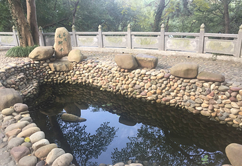 岳阳楼景区第 194 张图片