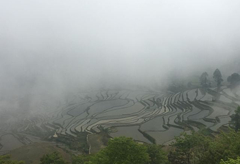 多依树梯田第 25 张图片