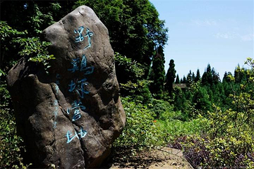 野鸡坪第 15 张图片