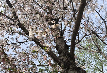 泰州凤城河田园牧歌景区第 16 张图片