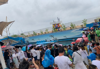 新澳海底世界第 66 张图片
