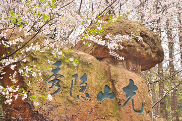 充山隐秀第 16 张图片