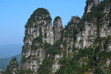 广西大瑶山国家级自然保护区第 23 张图片