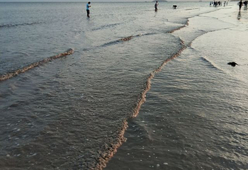 碧海金沙第 74 张图片
