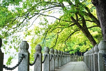 严子陵钓台景区第 126 张图片