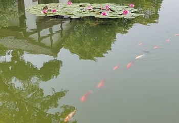 尚湖风景区第 119 张图片