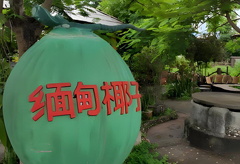 一寨两国第 100 张图片