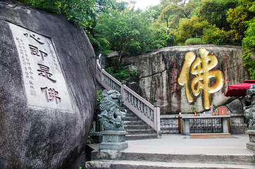 厦门园林植物园-五老峰第 18 张图片