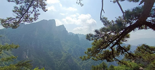 老界岭旅游度假区第 97 张图片