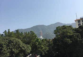 仙湖植物园第 39 张图片
