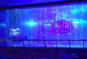 大明湖海底世界第 29 张图片