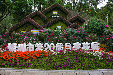 深圳人民公园第 7 张图片
