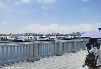 五缘湾帆船港第 38 张图片