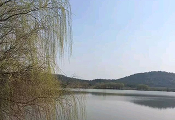 高淳国际慢城第 28 张图片