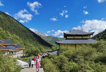 甲勿海·熊猫园景区第 23 张图片