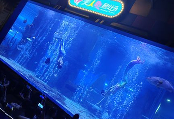 山西海立方海洋公园第 16 张图片