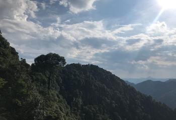 三百山景区第 42 张图片