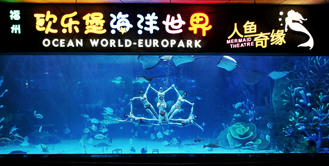 福州欧乐堡海洋世界第 87 张图片