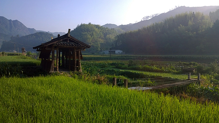 举水月山村第 4 张图片