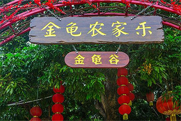 深圳金龟农家乐第 10 张图片