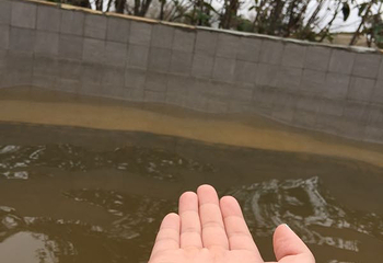 天德湖水世界第 27 张图片