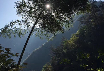 黄岗山大峡谷第 26 张图片