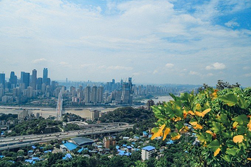 南山风景区第 64 张图片