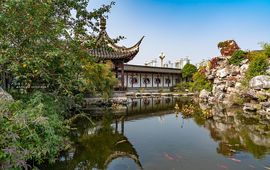 凤城河梅园第 33 张图片